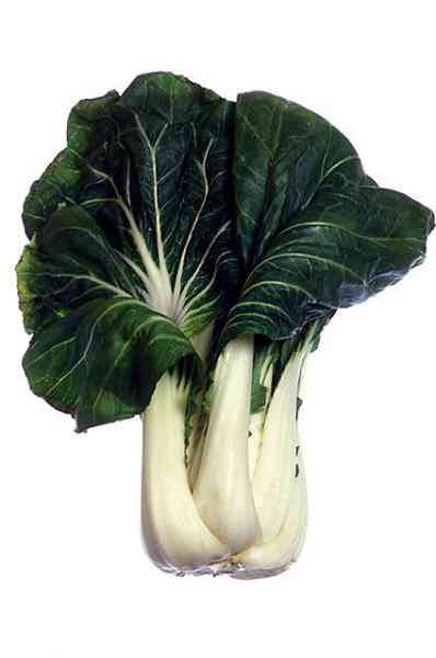 picture of bok choy