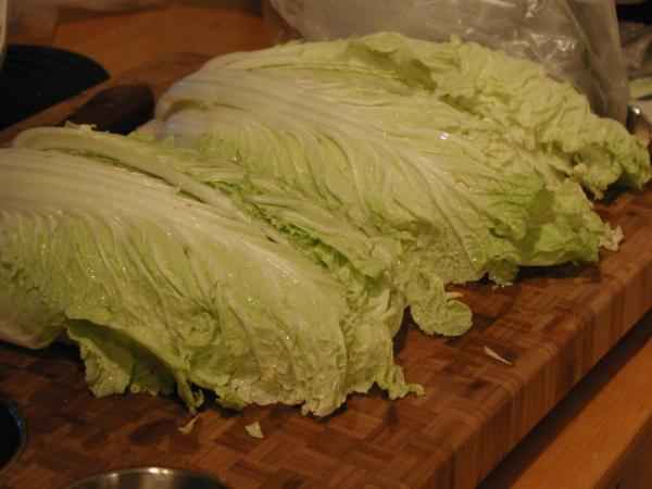picture of Chinese cabbage (napa cabbage)