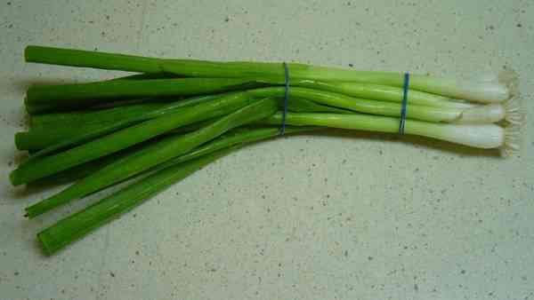 picture of scallions (spring onions)