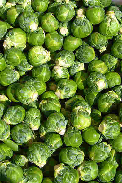 picture of Brussels sprouts