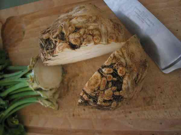 picture of celeriac