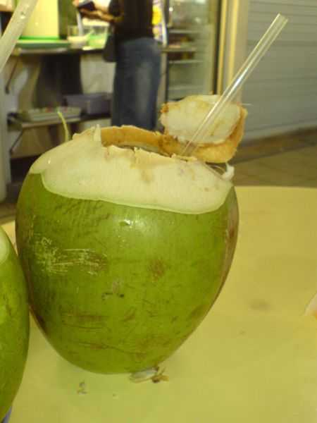 picture of a young coconut