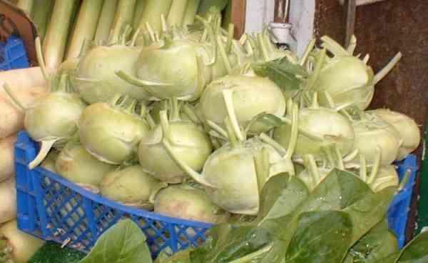 picture of kohlrabi