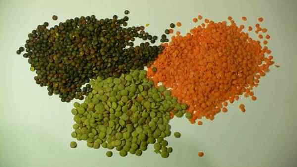 picture of lentils