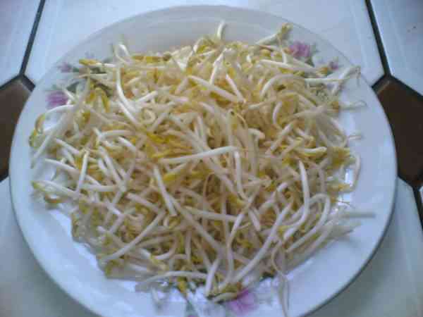 picture of mung bean sprouts