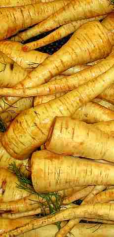 picture of parsnips