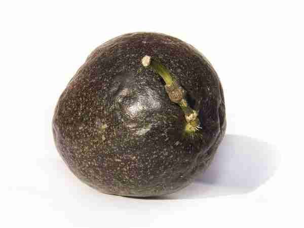 picture of passionfruit