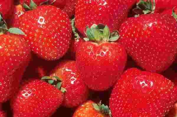 picture of strawberries