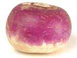 picture of a turnip